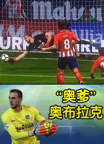 体系提供支 体系提供支